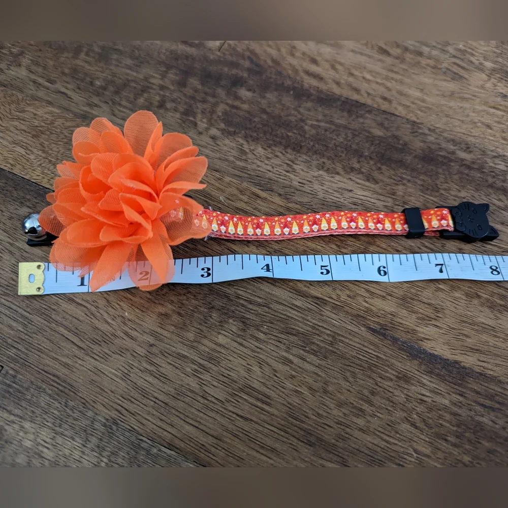 *NWOT* Fall Kitten/Cat Collar Bundle